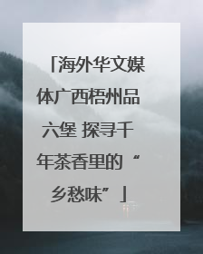 海外华文媒体广西梧州品六堡 探寻千年茶香里的“乡愁味”