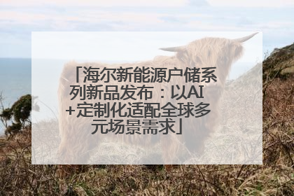 海尔新能源户储系列新品发布：以AI+定制化适配全球多元场景需求