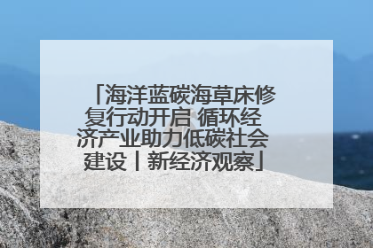 海洋蓝碳海草床修复行动开启 循环经济产业助力低碳社会建设丨新经济观察