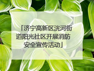 济宁高新区洸河街道阳光社区开展消防安全宣传活动