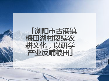 浏阳市古港镇梅田湖村赓续农耕文化，以研学产业反哺粮田