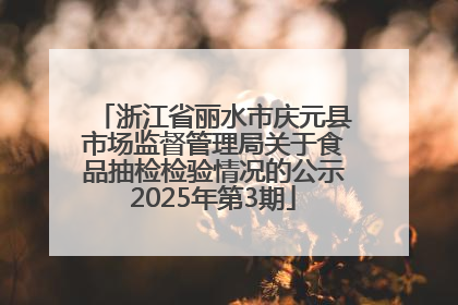 浙江省丽水市庆元县市场监督管理局关于食品抽检检验情况的公示2025年第3期