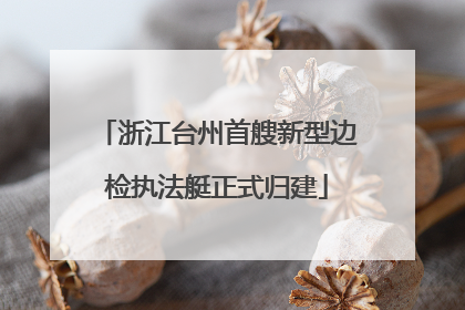 浙江台州首艘新型边检执法艇正式归建