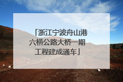 浙江宁波舟山港六横公路大桥一期工程建成通车