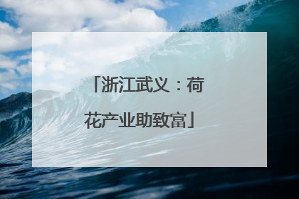 浙江武义：荷花产业助致富