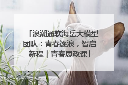 浪潮通软海岳大模型团队：青春逐浪，智启新程｜青春思政课