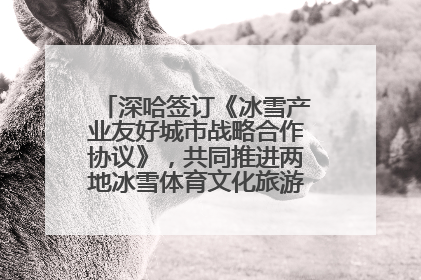 深哈签订《冰雪产业友好城市战略合作协议》，共同推进两地冰雪体育文化旅游高质量发展