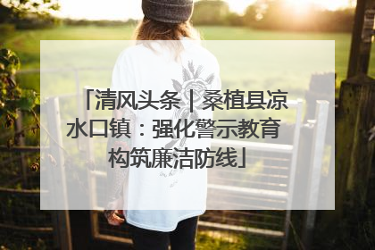 清风头条｜桑植县凉水口镇：强化警示教育 构筑廉洁防线