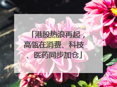 港股热浪再起，高瓴在消费、科技、医药同步加仓