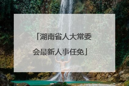 湖南省人大常委会最新人事任免