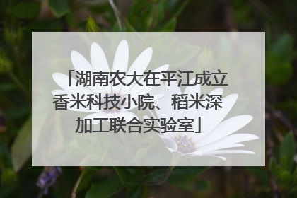 湖南农大在平江成立香米科技小院、稻米深加工联合实验室