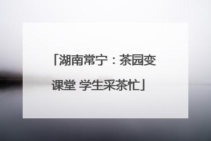 湖南常宁：茶园变课堂 学生采茶忙
