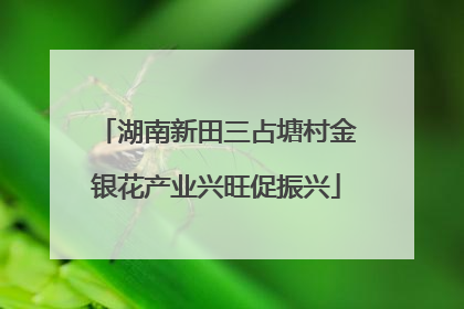 湖南新田三占塘村金银花产业兴旺促振兴