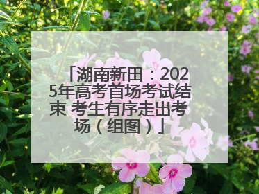 湖南新田：2025年高考首场考试结束 考生有序走出考场（组图）