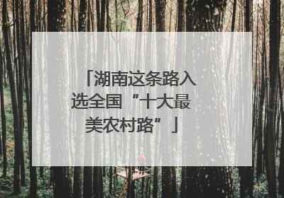 湖南这条路入选全国“十大最美农村路”