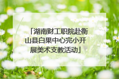 湖南财工职院赴衡山县白果中心完小开展美术支教活动