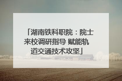 湖南铁科职院：院士来校调研指导 赋能轨道交通技术攻坚