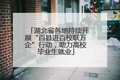 湖北省各地持续开展“百县进百校联万企”行动，助力高校毕业生就业