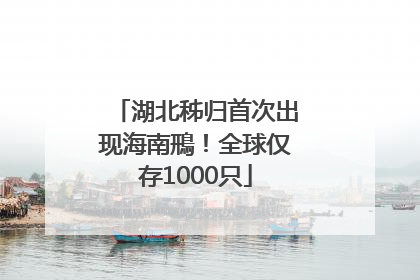 湖北秭归首次出现海南鳽！全球仅存1000只