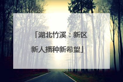 湖北竹溪：新区新人播种新希望