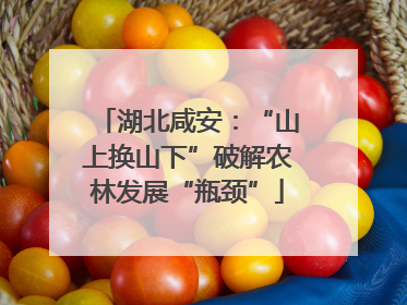 湖北咸安：“山上换山下”破解农林发展“瓶颈”