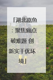湖北嘉鱼：聚焦痛点破难题 创新实干优环境