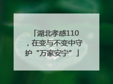 湖北孝感110，在变与不变中守护“万家安宁”