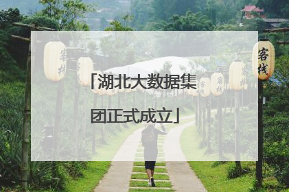 湖北大数据集团正式成立