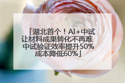 湖北首个！AI+中试让材料成果转化不再难 中试验证效率提升50%成本降低60%