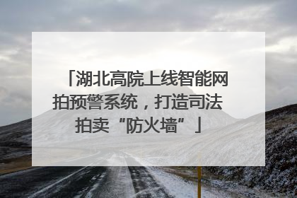 湖北高院上线智能网拍预警系统，打造司法拍卖“防火墙”