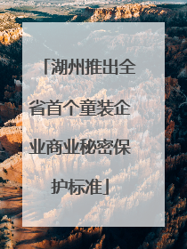 湖州推出全省首个童装企业商业秘密保护标准