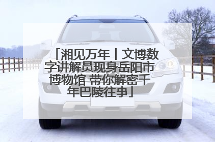 湘见万年丨文博数字讲解员现身岳阳市博物馆 带你解密千年巴陵往事
