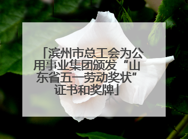 滨州市总工会为公用事业集团颁发“山东省五一劳动奖状”证书和奖牌