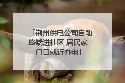 荆州供电公司自助终端进社区 居民家门口就近办电