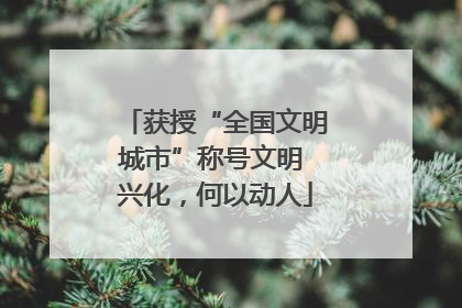 获授“全国文明城市”称号文明 兴化，何以动人