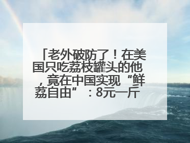 老外破防了！在美国只吃荔枝罐头的他，竟在中国实现“鲜荔自由”：8元一斤敞开吃！