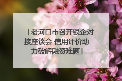 老河口市召开银企对接座谈会 信用评价助力破解融资难题