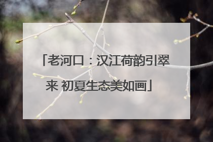 老河口：汉江荷韵引翠来 初夏生态美如画