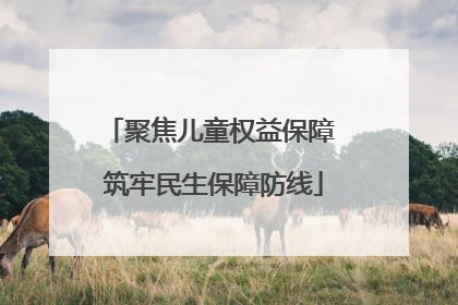 聚焦儿童权益保障 筑牢民生保障防线