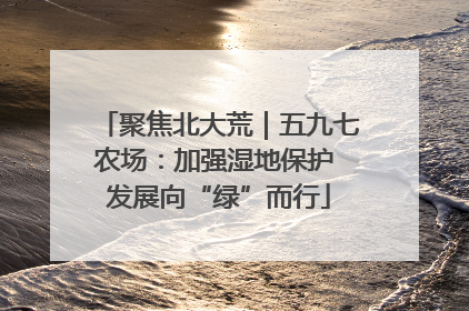 聚焦北大荒｜五九七农场：加强湿地保护 发展向“绿”而行