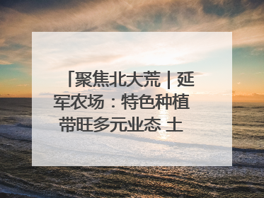 聚焦北大荒｜延军农场：特色种植带旺多元业态 土地焕发新活力