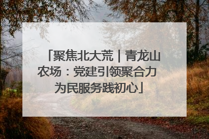 聚焦北大荒｜青龙山农场：党建引领聚合力 为民服务践初心