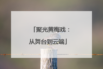聚光黄梅戏：从舞台到云端