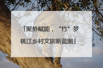 聚势赋能，“竹”梦桃江乡村文旅新蓝图