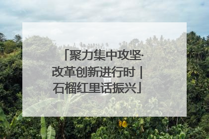 聚力集中攻坚·改革创新进行时｜石榴红里话振兴