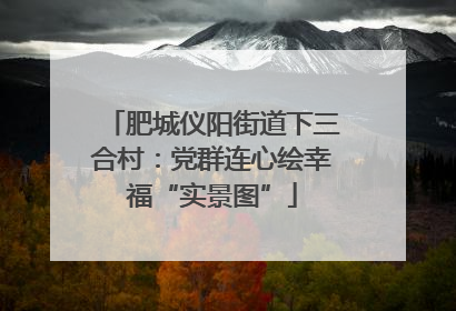 肥城仪阳街道下三合村：党群连心绘幸福“实景图”