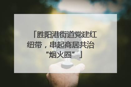 胜阳港街道党建红纽带，串起商居共治 “烟火圈”