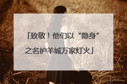 致敬！他们以“隐身”之名护羊城万家灯火