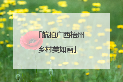 航拍广西梧州乡村美如画