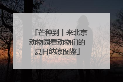 芒种到丨来北京动物园看动物们的夏日纳凉图鉴